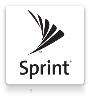Sprint USA Blackberry Remote MSL/SPC Code 